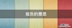 报负的意思 一展抱负的意思