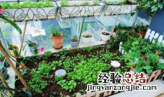pc管种花种菜制作过程 阳台种菜pvc管制作方法
