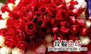 情人节给对象送什么花 你懂了吗