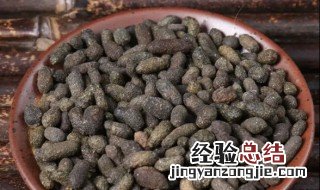 五灵脂的营养价值 五灵脂的药用价值