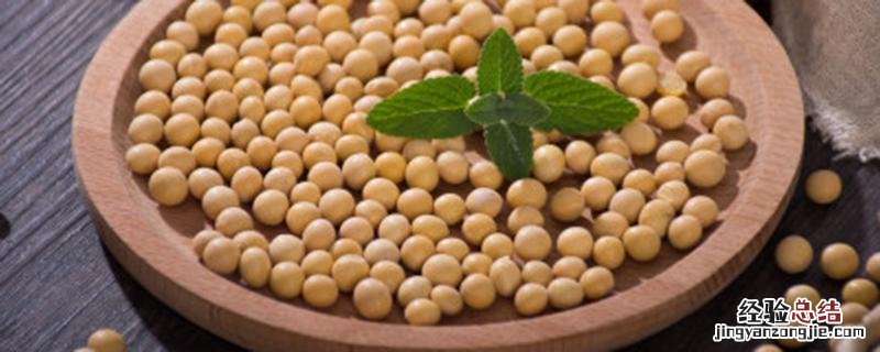 黄豆沤肥怎样才算沤好了 生黄豆沤肥技巧