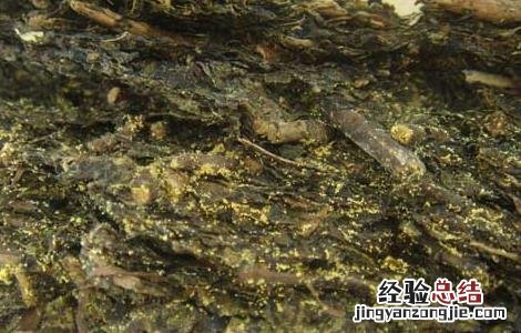 黑茶有几大类 黑茶的种类有哪些
