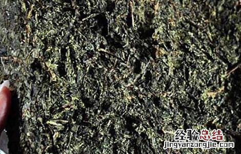 黑茶产地是哪里 黑茶产地在哪里