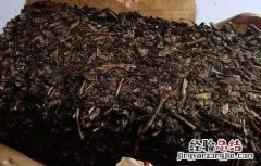 黑茶是什么茶与普洱茶的区别 黑茶是什么茶