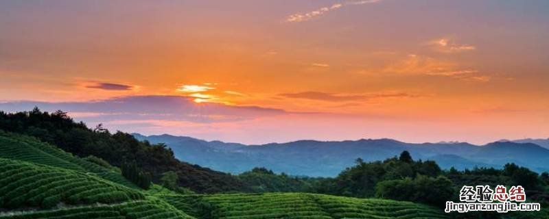 云南六大茶山 云南六大茶山茶业有限公司产品