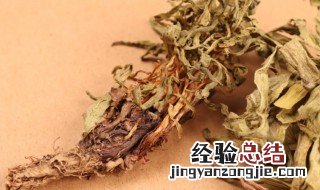 甘松的功效与作用点 甘松的营养价值