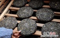 普洱茶产地在哪里 大雪山普洱茶产地在哪里