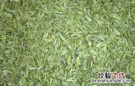 毛尖属于什么茶有什么功效 毛尖属于什么茶
