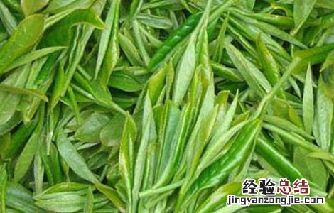 毛尖属于什么茶有什么功效 毛尖属于什么茶