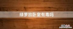 绿萝放卧室有毒吗 绿萝可以放在卧室吗 绿萝有毒吗