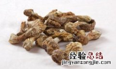 吃松茸的季节 吃松茸的季节推荐