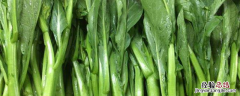 菜粄是什么 菜笕是什么
