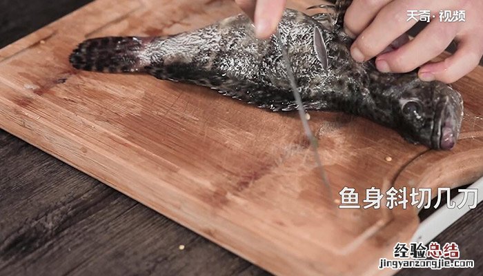 清蒸石斑鱼的做法图片 清蒸石斑鱼的做法