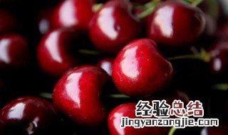车厘子JJ和JJJ区别 车厘子JJJ和JJ的区别