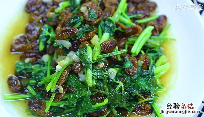 香菜炒蚕蛹怎么做 香菜炒蚕蛹怎么做好吃窍门