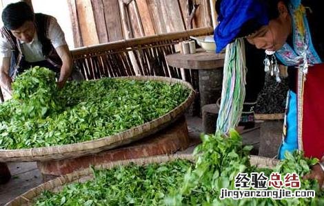 黑茶的工艺流程包括 黑茶的工艺流程