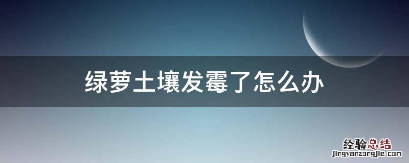 养绿萝的土发霉了怎么办 绿萝土壤发霉了怎么办