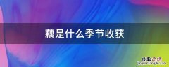 藕是几月份收获的 藕是什么季节收获