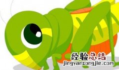 蝗虫是什么样子百度一下 蝗虫是什么样的虫子