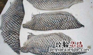 鱼皮套干什么用 鱼皮套用途
