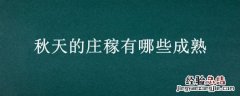 秋天的庄稼有哪些成熟 秋天里成熟的庄稼有哪些