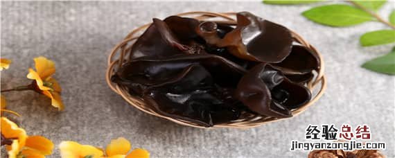 木耳是怎么长出来的视频 木耳是怎么长出来的