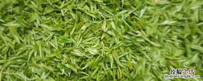茶叶施肥时间 茶叶施肥时间表