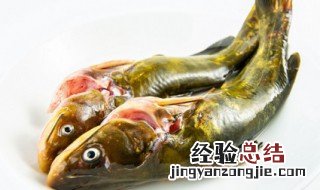 红烧昂公鱼汤的做法 红烧昂公鱼的做法