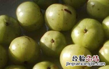 女人吃橄榄有什么好处吗 女人吃橄榄的好处有哪些
