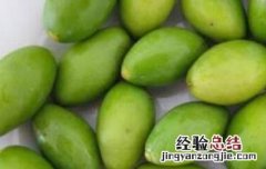 橄榄果的功效与作用 橄榄果的功效与作用禁忌