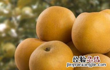 沙梨的功效与作用 沙梨的功效与作用及禁忌