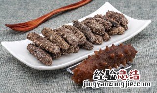 半干海参怎么泡发最好 半干海参怎么泡发最好吃