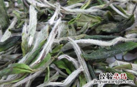 白茶的制作工序流程 白茶的制作工序流程视频