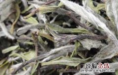 白茶的制作工序流程 白茶的制作工序流程视频