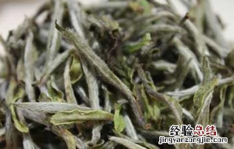 白茶的种类有哪些 白茶种类有哪些种类