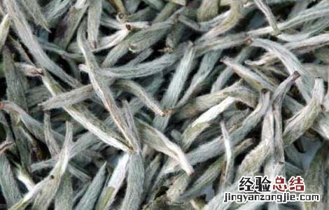 白茶的种类有哪些 白茶种类有哪些种类