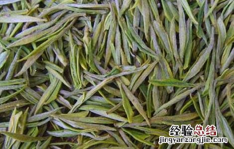 白茶产地在哪里 广西白茶产地在哪里