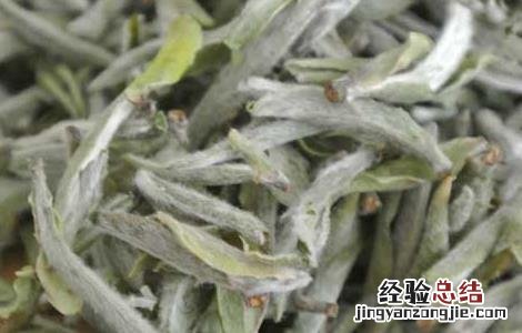 白茶产地在哪里 广西白茶产地在哪里