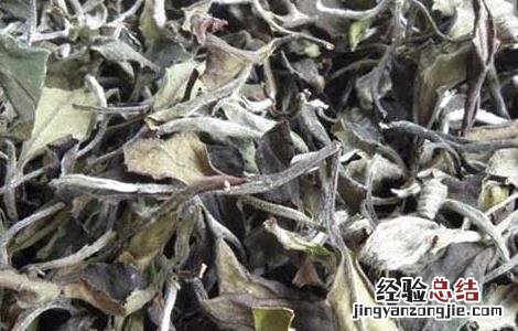 白茶产地在哪里 广西白茶产地在哪里