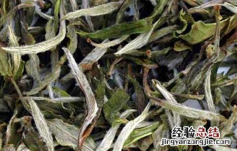 白茶产地在哪里 广西白茶产地在哪里