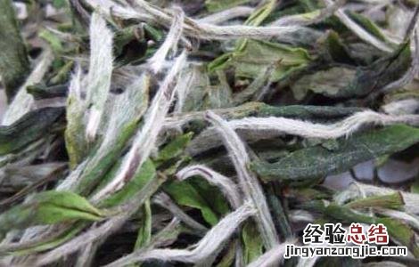 白茶产地在哪里 广西白茶产地在哪里