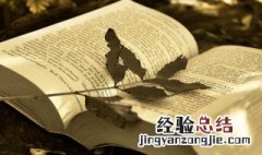 红布包柳枝是什么意思 柳枝是什么意思
