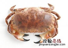 面包蟹的做法 清蒸面包蟹的做法