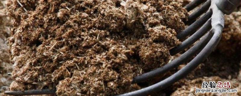 茶籽壳怎么发酵做肥料 茶籽饼做肥料要怎么发酵