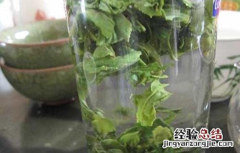 六安瓜片怎么读 六安瓜片的六读什么
