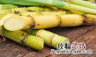 青皮甘蔗和紫皮甘蔗的功效 青皮甘蔗的功效与作用是什么