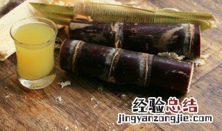 蔗怎么读 掂过碌蔗怎么读