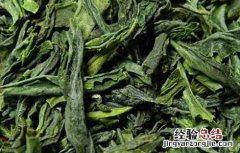 六安瓜片产地分布 六安瓜片产地分布排名