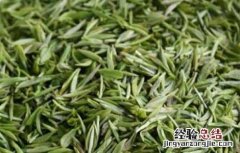 碧螺春产地哪里? 碧螺春产地是哪里