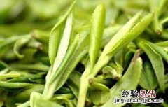 龙井茶的产地在哪里 龙井茶产地在哪里